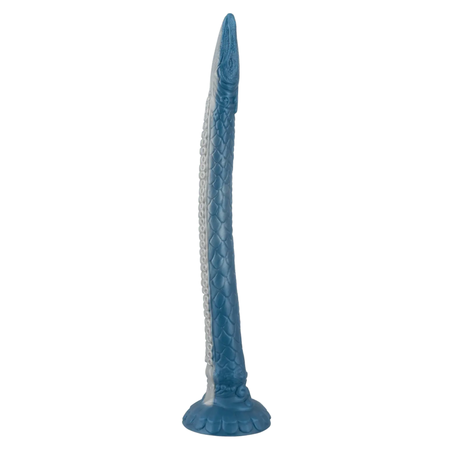 Gode Eel of Ecstasy Beasty Cocks, coffret illustré et silicone haut de gamme – Oh My God’Z