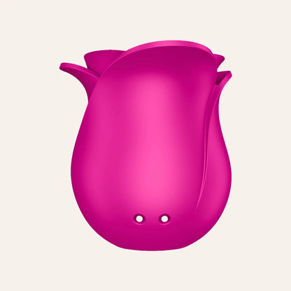 Arrière du Satisfyer Pro 2 Blossom, sextoy haut de gamme en silicone vendu par Oh My God'Z, avec connecteurs magnétiques pour recharge rapide et design ergonomique.