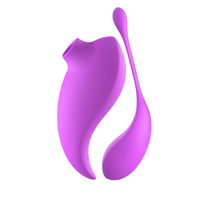 Ensemble stimulateur clitoridien violet et oeuf vibrant telecommande en silicone doux - Oh My God'Z